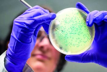 এআই উদ্ভাবিত অ্যান্টিবায়োটিক ধ্বংস করলো গনোরিয়ার ‘সুপারবাগ’