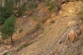 সুদানে ভয়াবহ ভূমিধ্বসে ১ হাজারের বেশি মানুষ নিহত