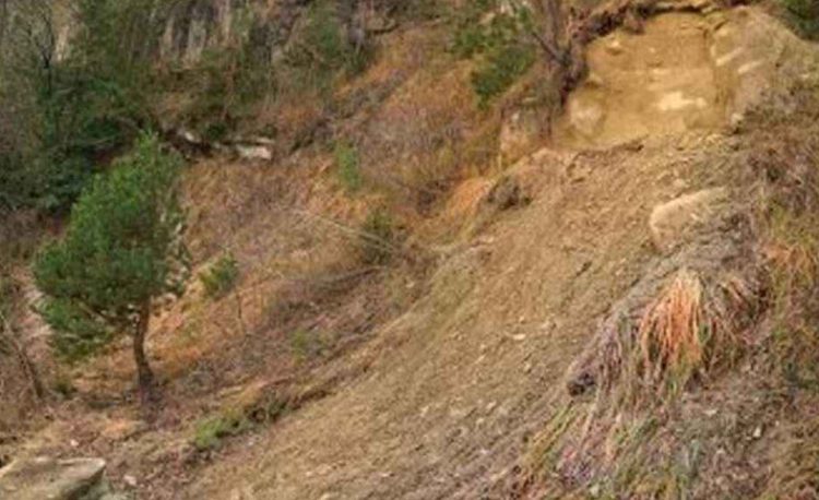 সুদানে ভয়াবহ ভূমিধ্বসে ১ হাজারের বেশি মানুষ নিহত