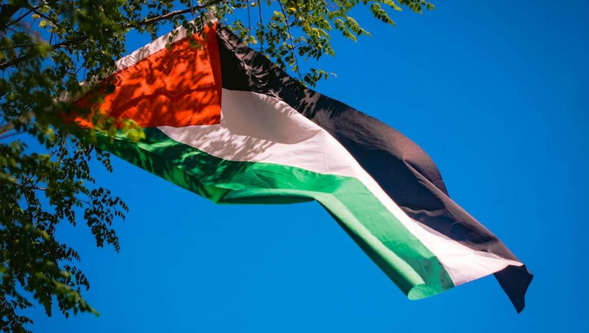 ফিলিস্তিনকে রাষ্ট্র হিসেবে স্বীকৃতি দিয়েছে যেসব দেশ