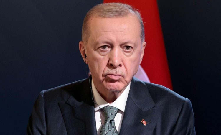 হামাস দেখিয়েছে তারা শান্তির জন্য প্রস্তুত : এরদোগান