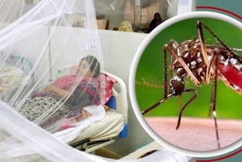 ডেঙ্গুতে ঝরল আরও নয় প্রাণ, মোট প্রাণহানি ২১২