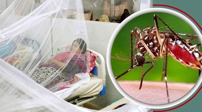 ডেঙ্গুতে ঝরল আরও নয় প্রাণ, মোট প্রাণহানি ২১২