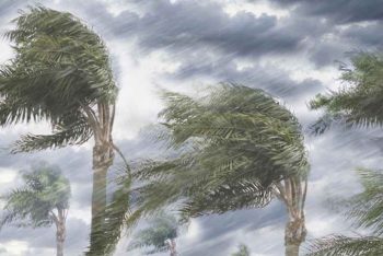 নিম্নচাপে ঝড়ো হাওয়া ও ভারী বর্ষণ, সাত জেলা বন্যার শঙ্কা