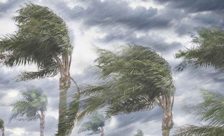 নিম্নচাপে ঝড়ো হাওয়া ও ভারী বর্ষণ, সাত জেলা বন্যার শঙ্কা