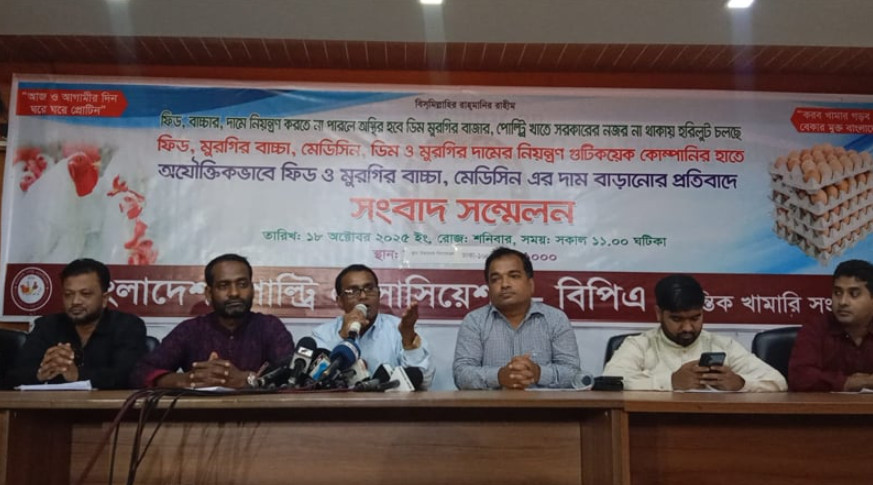 ৭ দাবি না মানলে ডিম-মুরগি উৎপাদন বন্ধ রাখার হুমকি খামারিদের
