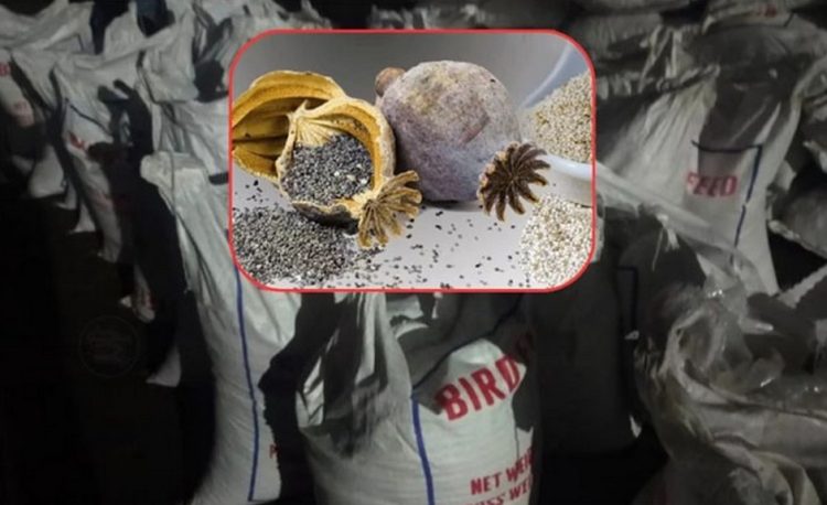 পাখির খাদ্যের আড়ালে পাকিস্তান থেকে এল আমদানি নিষিদ্ধ পপি বীজ