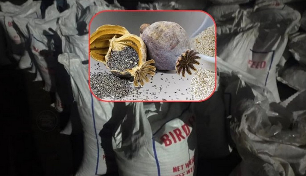 পাখির খাদ্যের আড়ালে পাকিস্তান থেকে এল আমদানি নিষিদ্ধ পপি বীজ