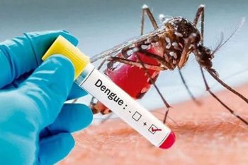 এক সপ্তাহে ডেঙ্গুতে ১৯ জনের মৃত্যু