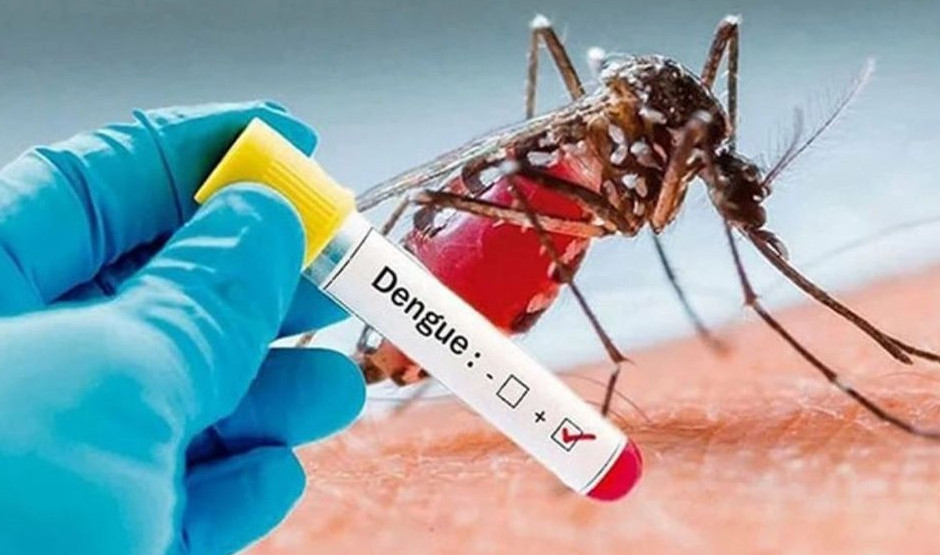 এক সপ্তাহে ডেঙ্গুতে ১৯ জনের মৃত্যু