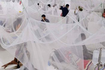 ডেঙ্গু কেড়ে নিল আরও ১০ প্রাণ