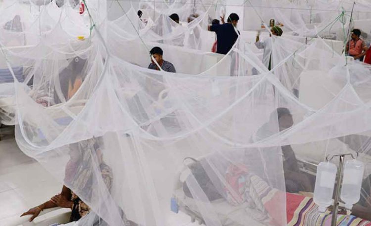 ডেঙ্গু কেড়ে নিল আরও ১০ প্রাণ