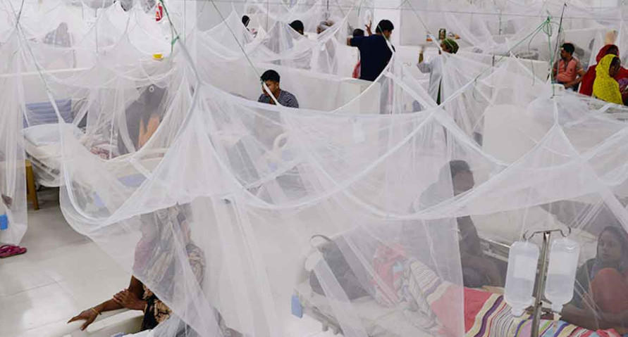 ডেঙ্গু কেড়ে নিল আরও ১০ প্রাণ