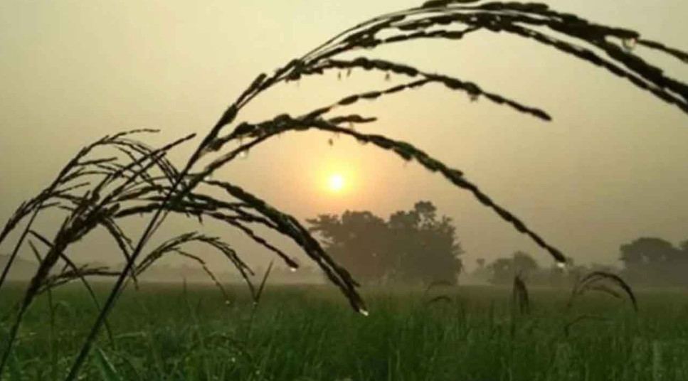 শীত নিয়ে নতুন বার্তা দিলো আবহাওয়া অফিস