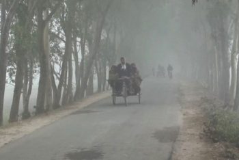 তেঁতুলিয়ায় এক সপ্তাহ ধরে চলছে মৃদু শৈত্যপ্রবাহ