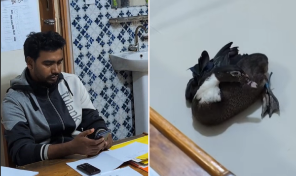 বরিশালে কিস্তির টাকা না পেয়ে হাঁস নিয়ে গেল এনজিও কর্মী