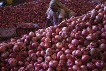 ভারত থেকে দেড় হাজার টন পেঁয়াজ আমদানির অনুমতি