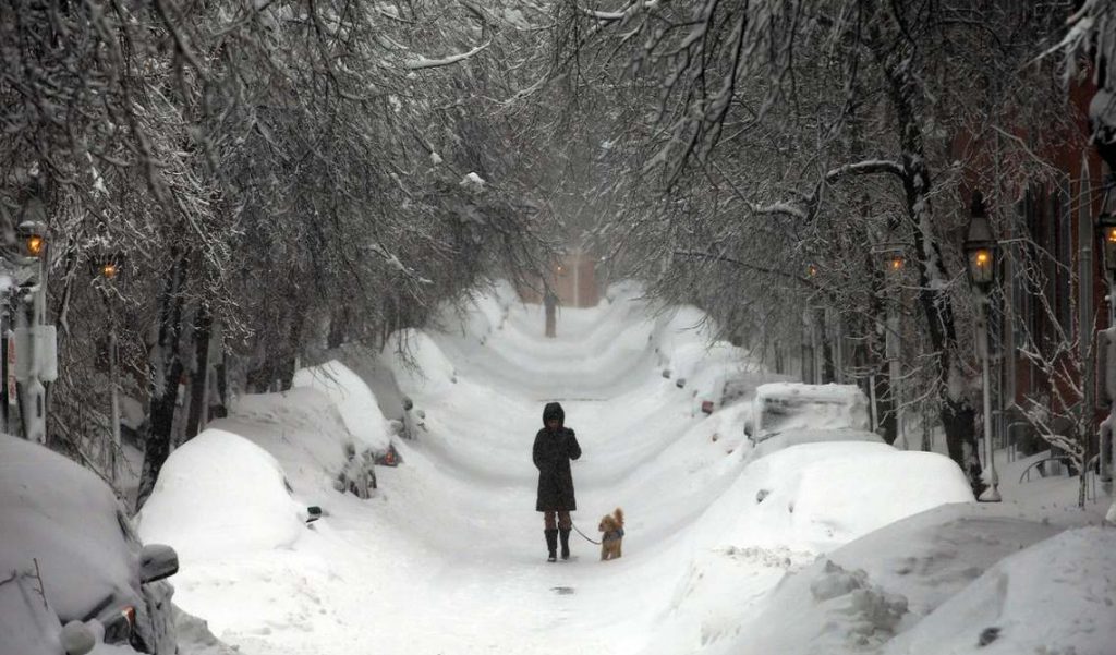 আমেরিকায় ভয়াবহ তুষারঝড়ে ১১ জনের মৃত্যু; বিদ্যুৎবিহীন প্রায় ১০ লক্ষ মানুষ