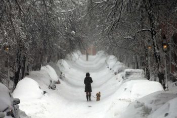 আমেরিকায় ভয়াবহ তুষারঝড়ে ১১ জনের মৃত্যু; বিদ্যুৎবিহীন প্রায় ১০ লক্ষ মানুষ