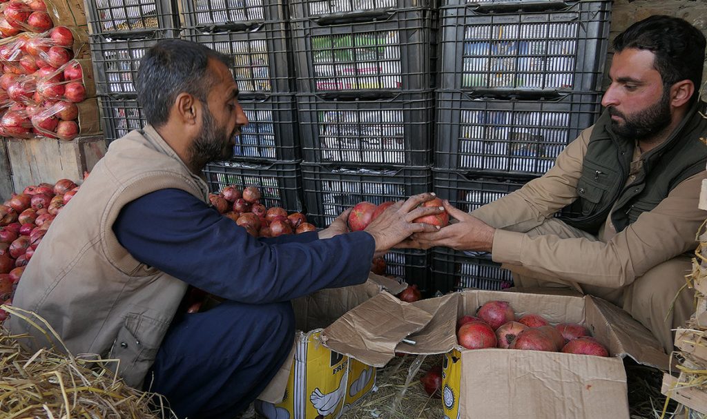 ইতোমধ্যে ৯টি দেশে ২৩ হাজার টন ডালিম রপ্তানি করেছে আফগানিস্তান