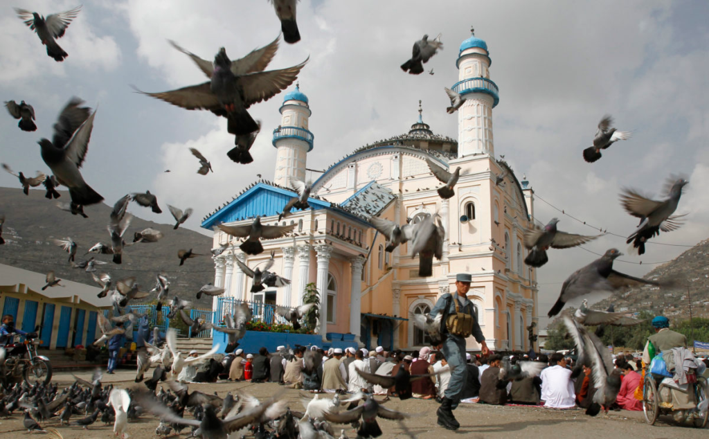 শাসকদের জন্য ওলামাদের পরামর্শ অপরিহার্য : আফগান আমীরুল মু’মিনীন