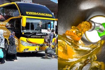 তেলের দাম বাড়ায় ইসলামাবাদে বাস ভাড়া ফ্রি ঘোষণা সরকারের