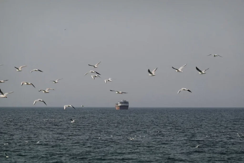 হরমুজ প্রণালিতে মার্কিন জাহাজ ডুবিয়ে দেওয়ার হুঁশিয়ারি ইরানের