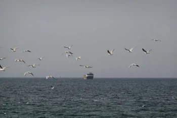 হরমুজ প্রণালিতে মার্কিন জাহাজ ডুবিয়ে দেওয়ার হুঁশিয়ারি ইরানের