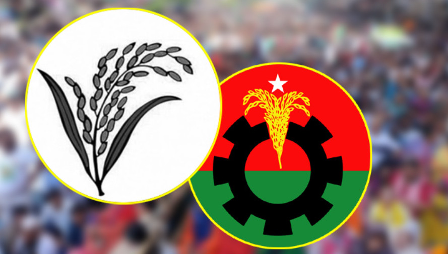 বগুড়া-৬ ও শেরপুর-৩: দুই আসনেই জয় পেল ধানের শীষ