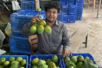 ভুয়া অর্ডার দিয়েও আমাকে হয়রানি করতো জামায়াত: তারেক