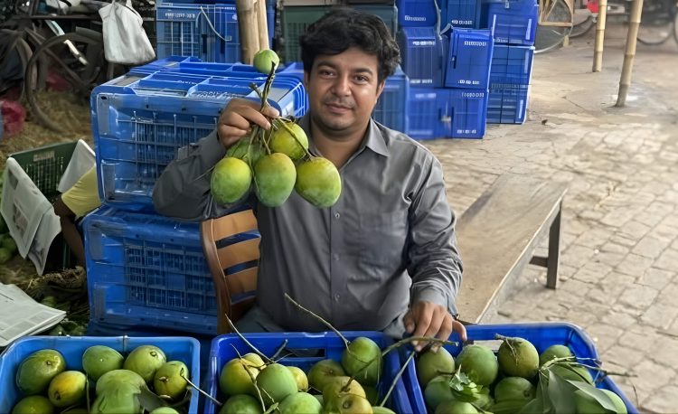 ভুয়া অর্ডার দিয়েও আমাকে হয়রানি করতো জামায়াত: তারেক