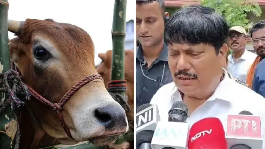 পশ্চিমবঙ্গে ‘১৪ বছরের কম বয়সী পশু’ কোরবানি দেওয়া যাবে না
