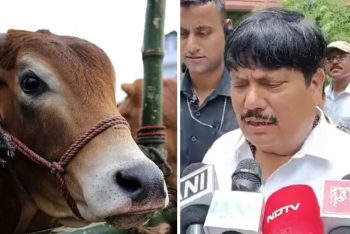 পশ্চিমবঙ্গে ‘১৪ বছরের কম বয়সী পশু’ কোরবানি দেওয়া যাবে না