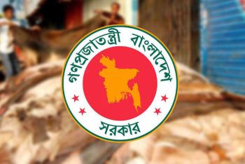 কোরবানির পশুর চামড়ার মূল্য নির্ধারণ করলো সরকার