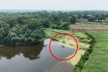 পাটক্ষেতে পুশ-ইনের চেষ্টা ভারতীয় সীমান্ত বাহিনীর; নজরদারিতে স্থানীয় জনগণ