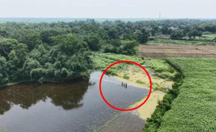 পাটক্ষেতে পুশ-ইনের চেষ্টা ভারতীয় সীমান্ত বাহিনীর; নজরদারিতে স্থানীয় জনগণ