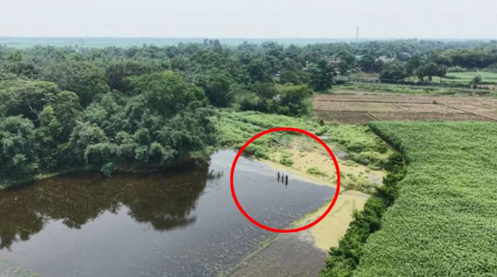 পাটক্ষেতে পুশ-ইনের চেষ্টা ভারতীয় সীমান্ত বাহিনীর; নজরদারিতে স্থানীয় জনগণ