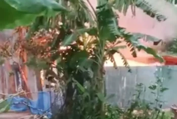 পাবনায় কিশোরীকে ধষর্ণ-হত্যার জেরে আসামিদের বাড়িতে আগুন, দগ্ধ হয়ে নিহত ৩