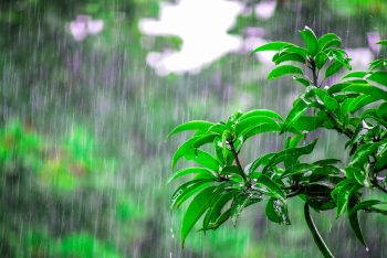 ঢাকার আকাশ আংশিক মেঘলা; বজ্রসহ বৃষ্টির সম্ভাবনা