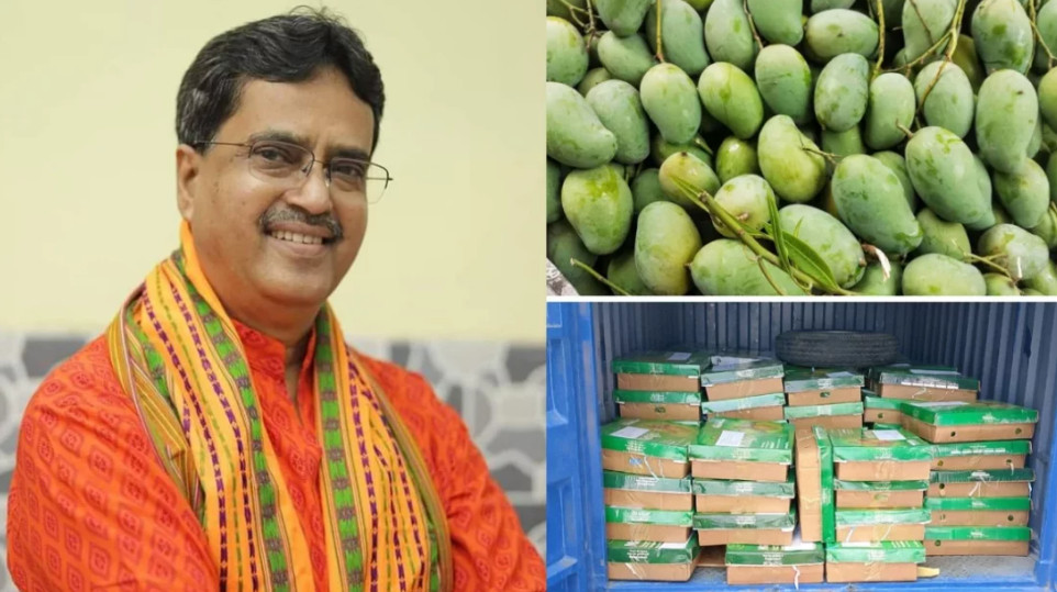 ত্রিপুরার মুখ্যমন্ত্রীকে বাংলাদেশের উপহার, পাঠানো হলো ৬০০ কেজি আম