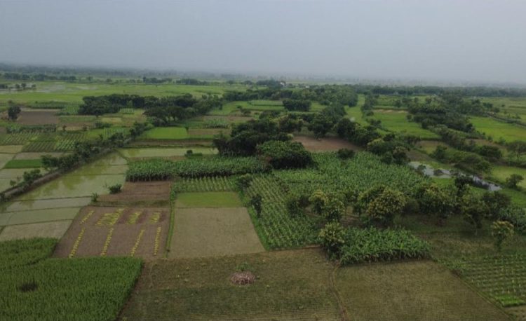 বিএসএফ এক বাংলাদেশিকে ধরে নিয়ে যাওয়ায় দুই ভারতীয়কে ধরে আটক করল গ্রামবাসী