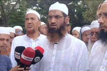 জুলাই জাদুঘরে শাপলা চত্বরের শহীদদের ভাস্কর্যের পরিবর্তে শৈল্পিক চিত্রায়নের আহ্বান মামুনুল হকের