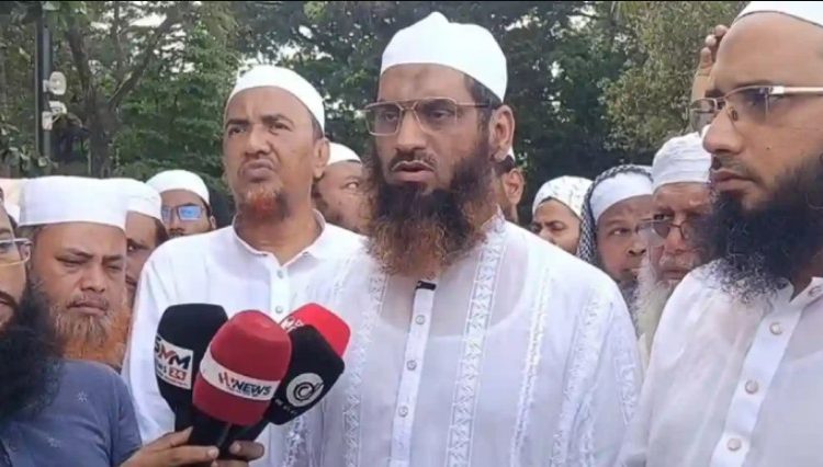জুলাই জাদুঘরে শাপলা চত্বরের শহীদদের ভাস্কর্যের পরিবর্তে শৈল্পিক চিত্রায়নের আহ্বান মামুনুল হকের