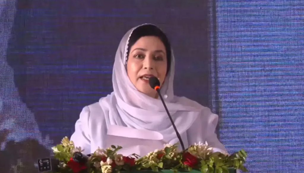 প্রত্যন্ত অঞ্চলে উন্নতমানের স্বাস্থ্যসেবা পৌঁছাতে কাজ করছে সরকার : ডা. জুবাইদা রহমান