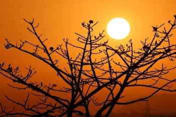 ১৯৩১ সালের পর পর্তুগালে সবচেয়ে বেশি তাপমাত্রা ছিল সেপ্টেম্বরে